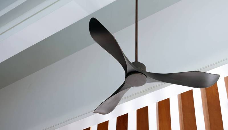 Ceiling Fans